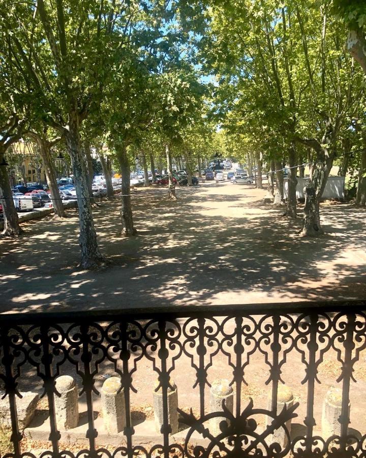 Au Bout Du Pre Hotel Pezenas Exterior photo