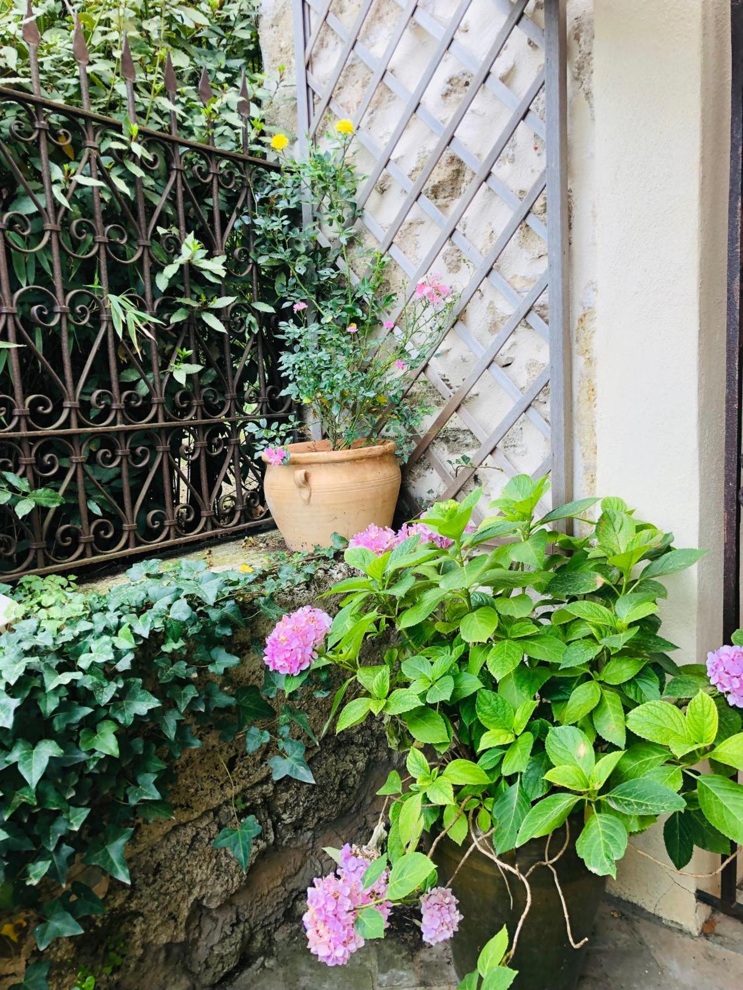 Au Bout Du Pre Hotel Pezenas Exterior photo